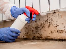 Best HVAC Mold Inspection and Cleaning  in Superior, WI